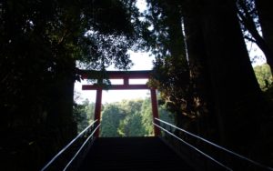 リラックス効果